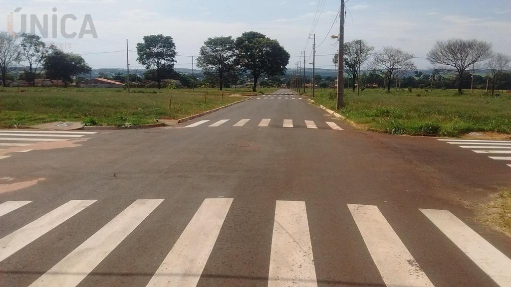 Foto 5 de Parque dos Ipês