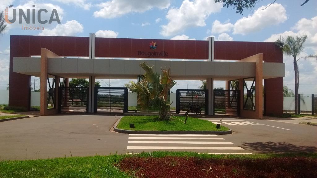 Imagem do lançamento